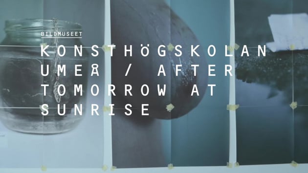 Video: Intervju med Maja Gregor 