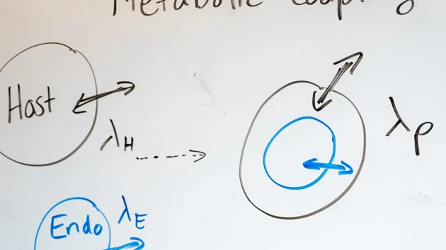 Grafik för whiteboardtavlor